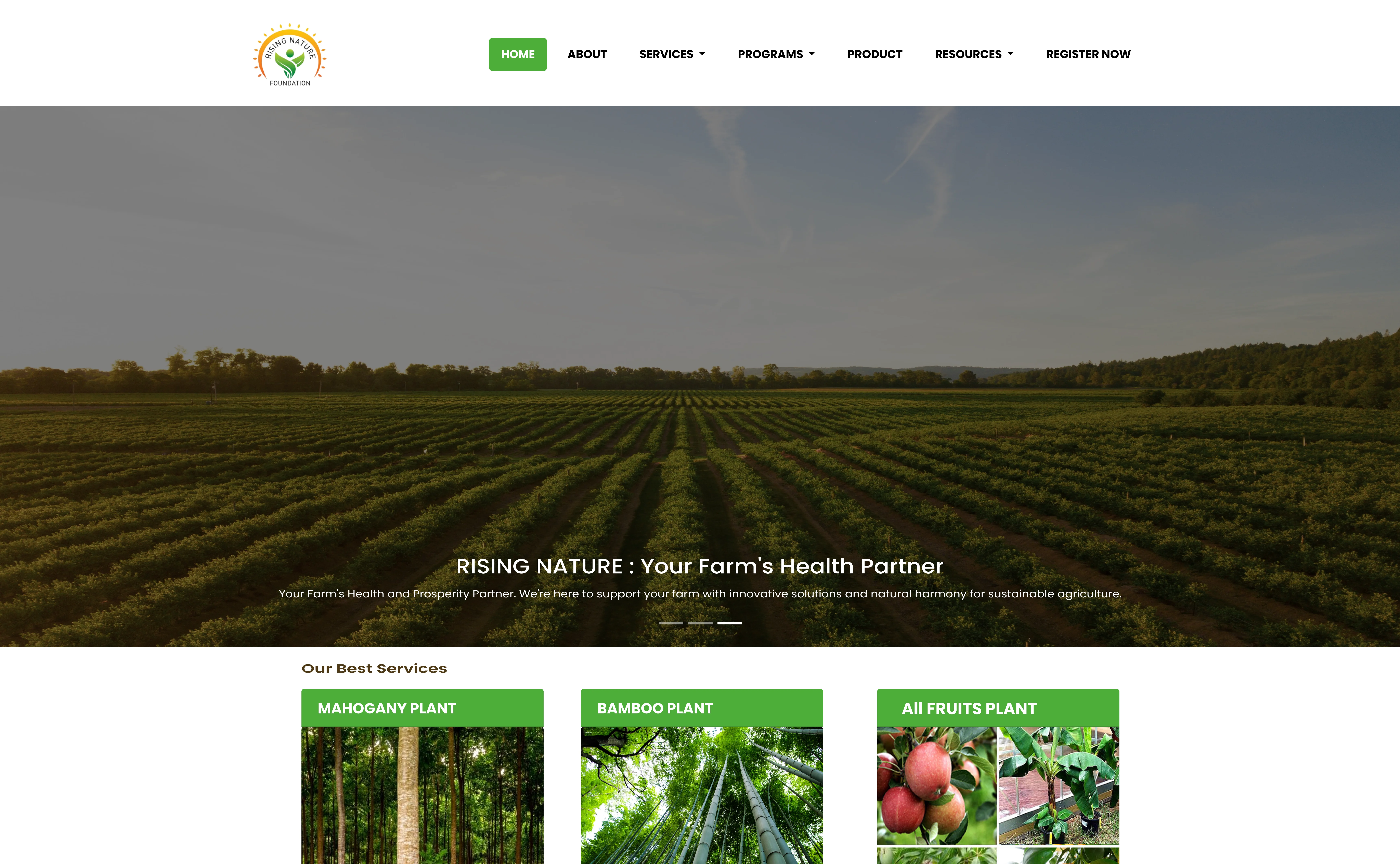 Evergreen Solutions